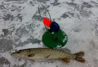Зимняя рыбалка на жерлицы: устройство и изготовление снасти